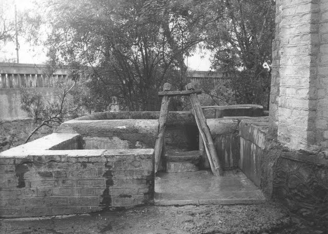 Lendibagh, photo 1