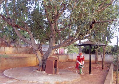 Shri Shirdi Saibaba Mahamandal, photo 3