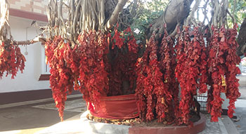 Sri Dattatreya Sai Ashram, photo 3